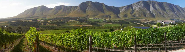 WINE VALLEY